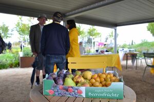 Bild vom Stand auf der BUGA2023 in Mannheim